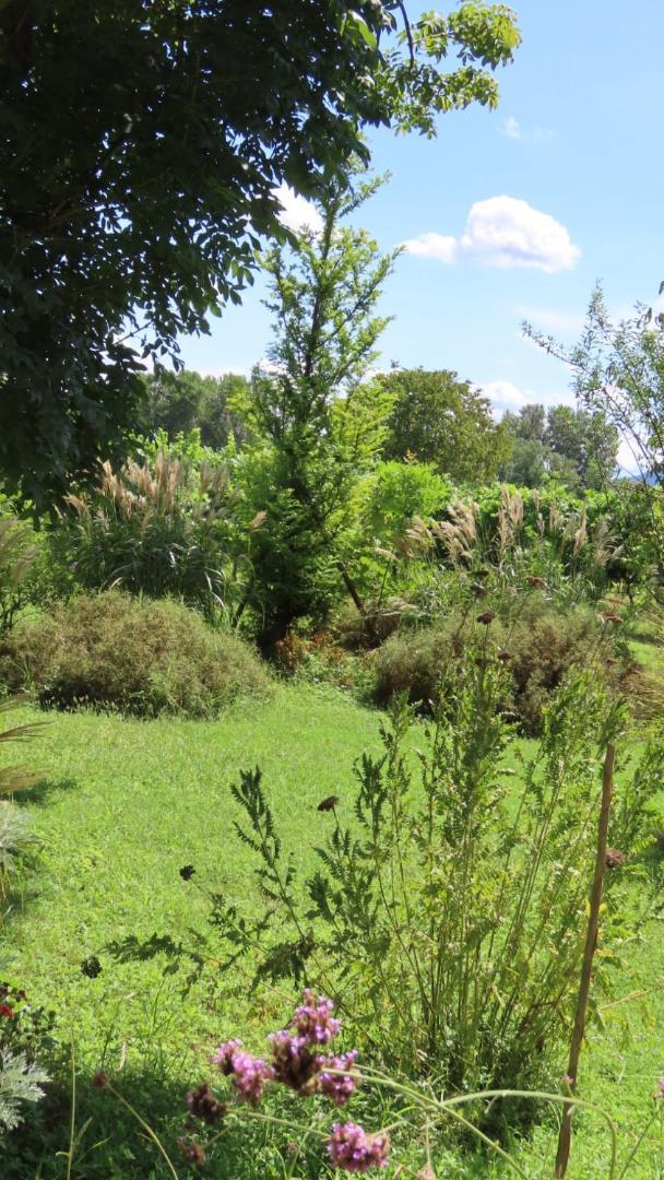 Ca Veja B&B Forlì Eksteriør billede